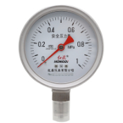 YTQ、YTQN，不充液、充液系列全不銹鋼安全系列壓力表